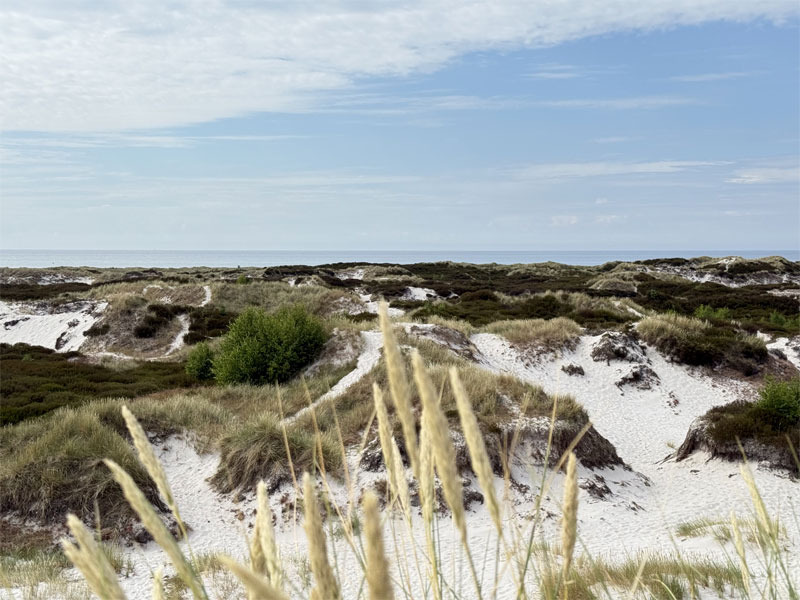 Sandstrände Dueodde Bornholm
