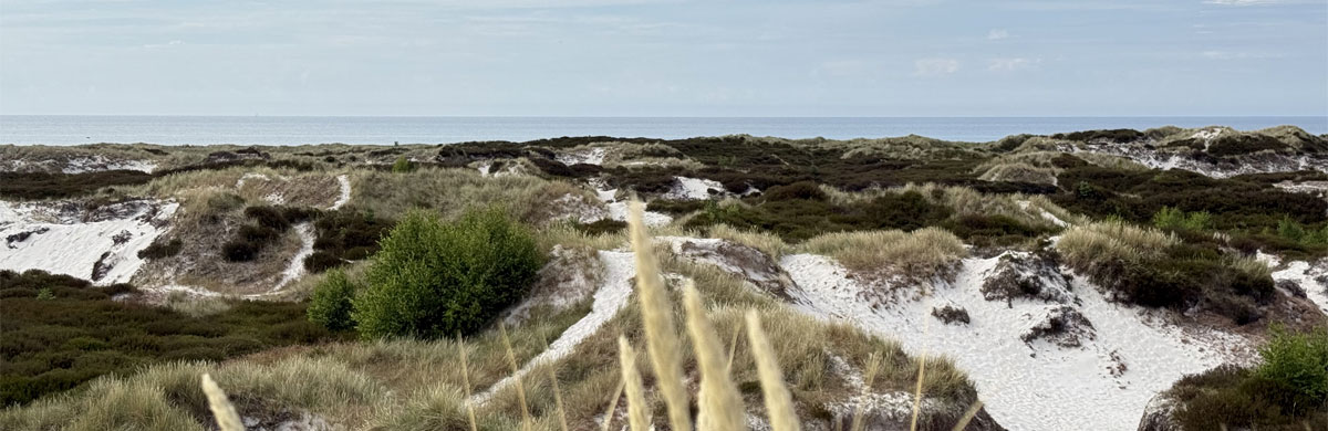 Sonniger Strand von Dueodde auf Bornholm
