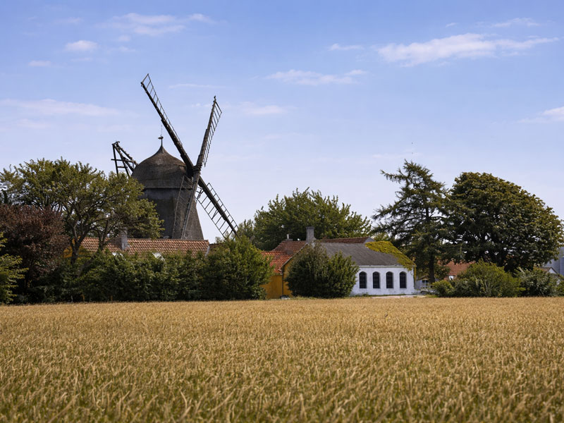 Windmühle in Svaneke auf Bornholm